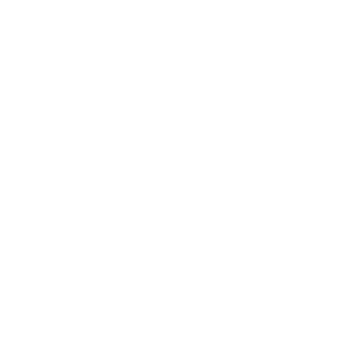 Finance Icon_Risk Management and Fraud Detection