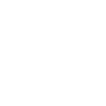 Fraud Detection & Risk Management