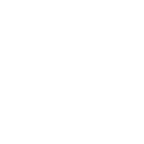 Managed Services Security Provider Icon_Application Whitelisting