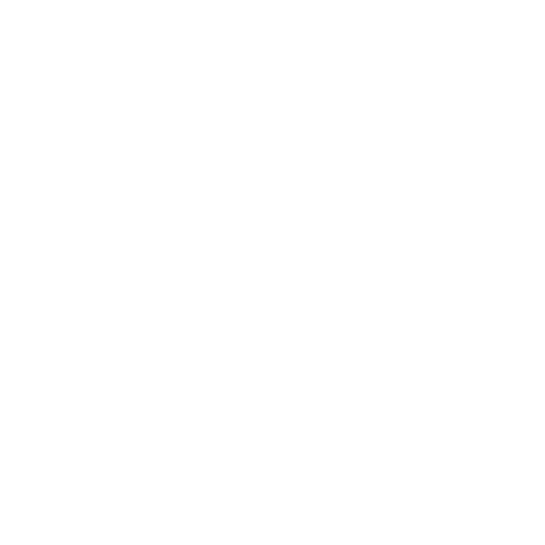 Icon_Inventory Management and Forecasting