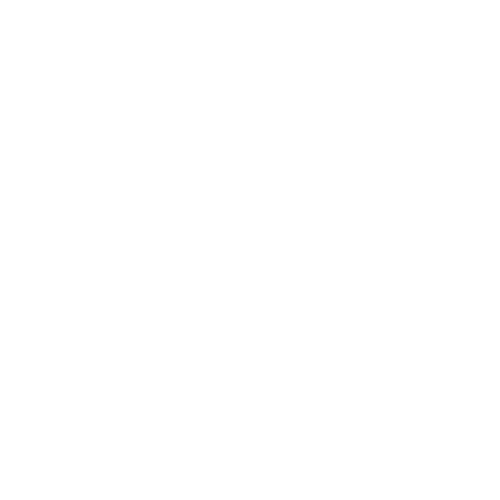 Icon_Personalized Shopping Experiences