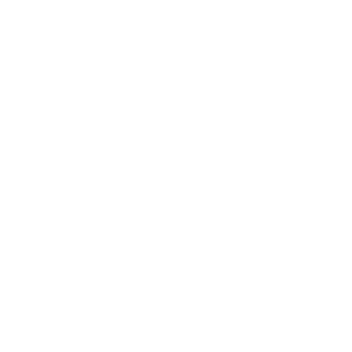 Icon_Route Optimization and Traffic Management