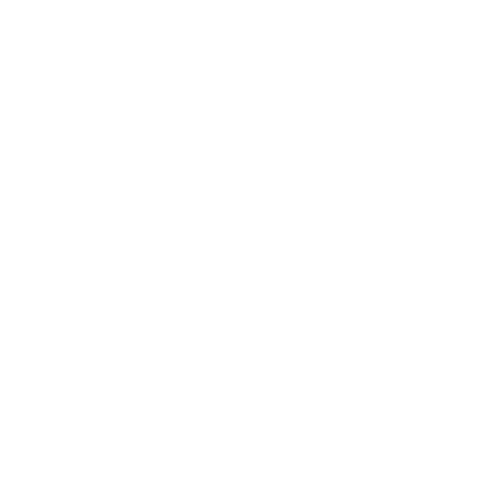 Language Learning Support