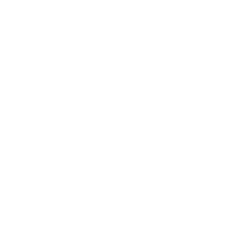 Student Engagement and Motivation