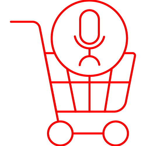 Voice Commerce